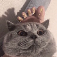 刷剧不眨眼